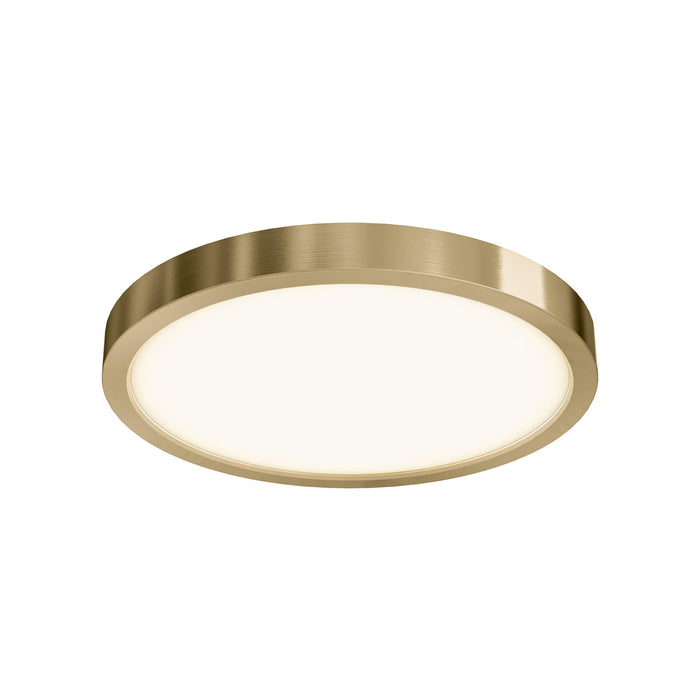 DALS Lighting Gold 10 Inch Round Indoor/Outdoor LED Flush Mount, Model CFLEDR10-CC-GD*