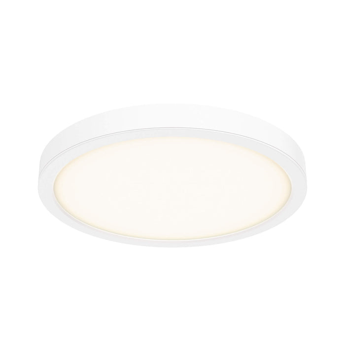 DALS Lighting White 14 Inch Round Indoor/Outdoor LED Flush Mount, Model CFLEDR14-CC-WH*