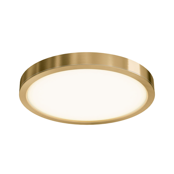 DALS Lighting Gold 14 Inch Round Indoor/Outdoor LED Flush Mount, Model CFLEDR14-CC-GD*