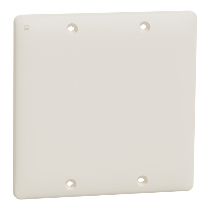 Square D 2 Gang Blank Wall Plate La