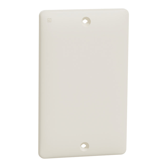 Square D 1 Gang Blank Matte Wall Plate La