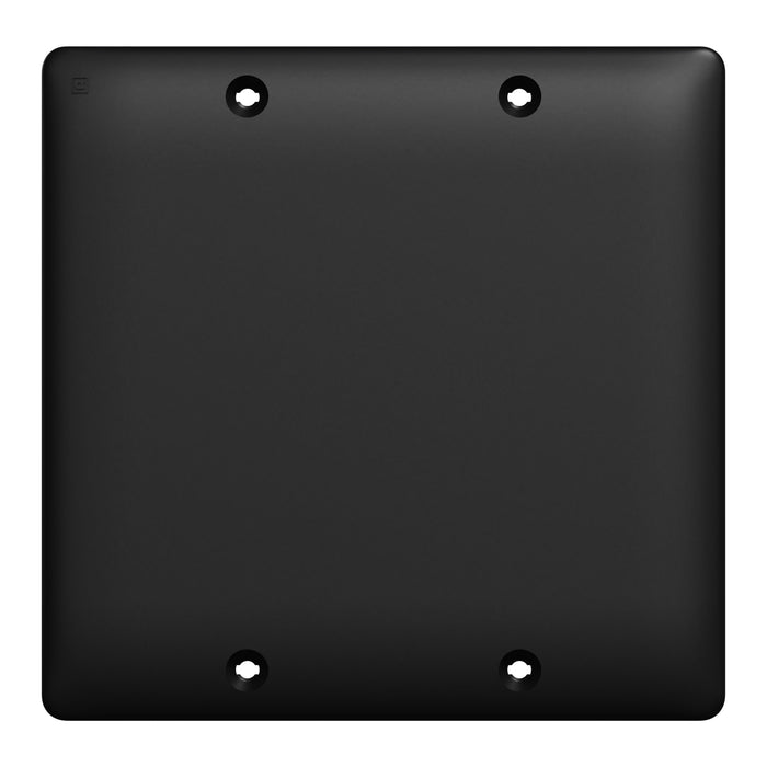 Square D 2 Gang Blank Wall Plate Bk