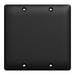 Square D 2 Gang Blank Wall Plate Bk