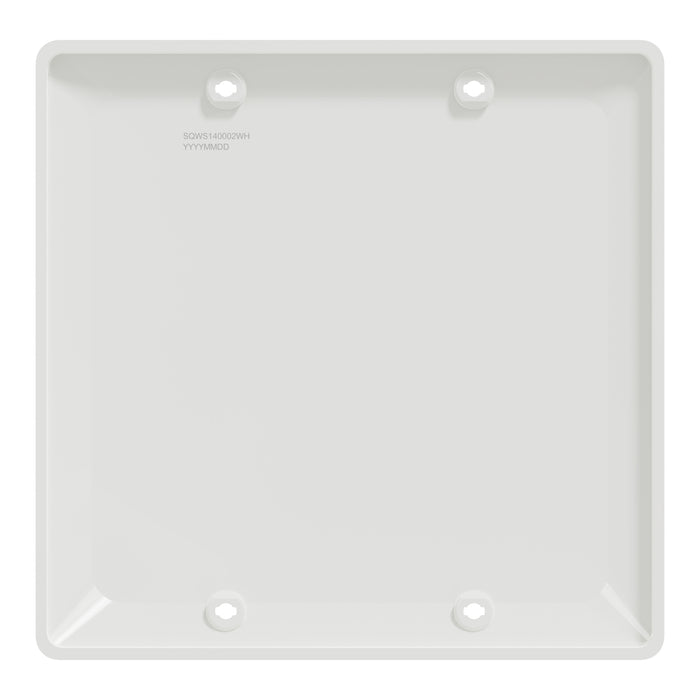 Square D 2 Gang Blank Wall Plate Wh