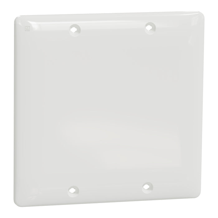 Square D 2 Gang Blank Wall Plate Wh