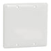 Square D 2 Gang Blank Wall Plate Wh