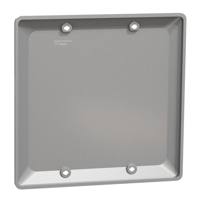 Square D 2 Gang Blank Wall Plate Gy