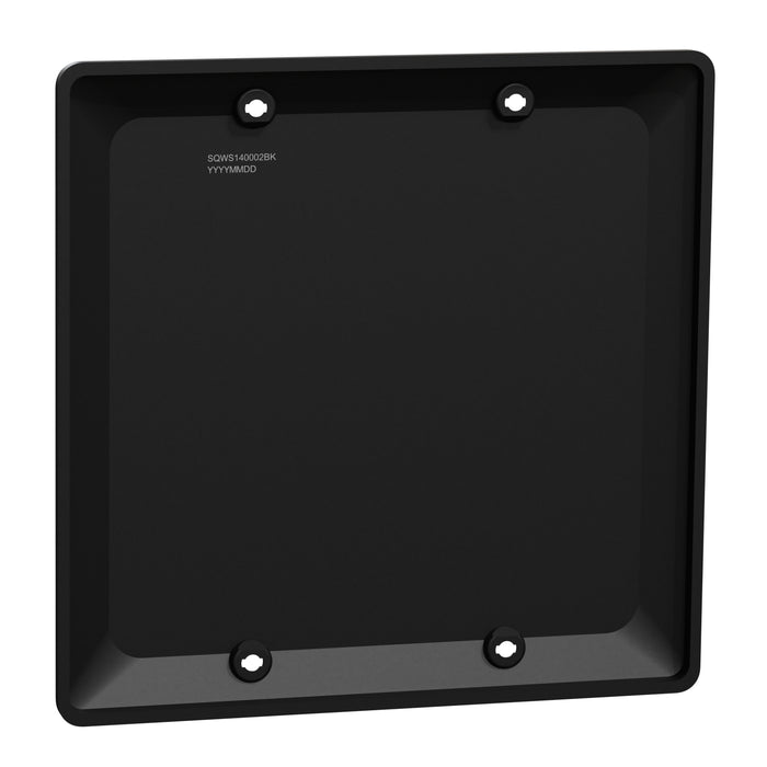 Square D 2 Gang Blank Wall Plate Bk
