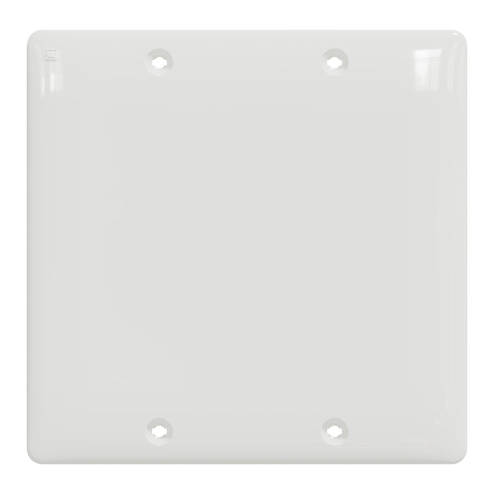 Square D 2 Gang Blank Wall Plate Wh