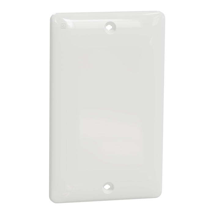 Square D 1 Gang Blank Matte Wall Plate Wh