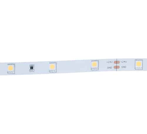 Magic Lite Indoor LED Strip Series, 6500K, 2.2W/FT, CRI>80, custom cuts