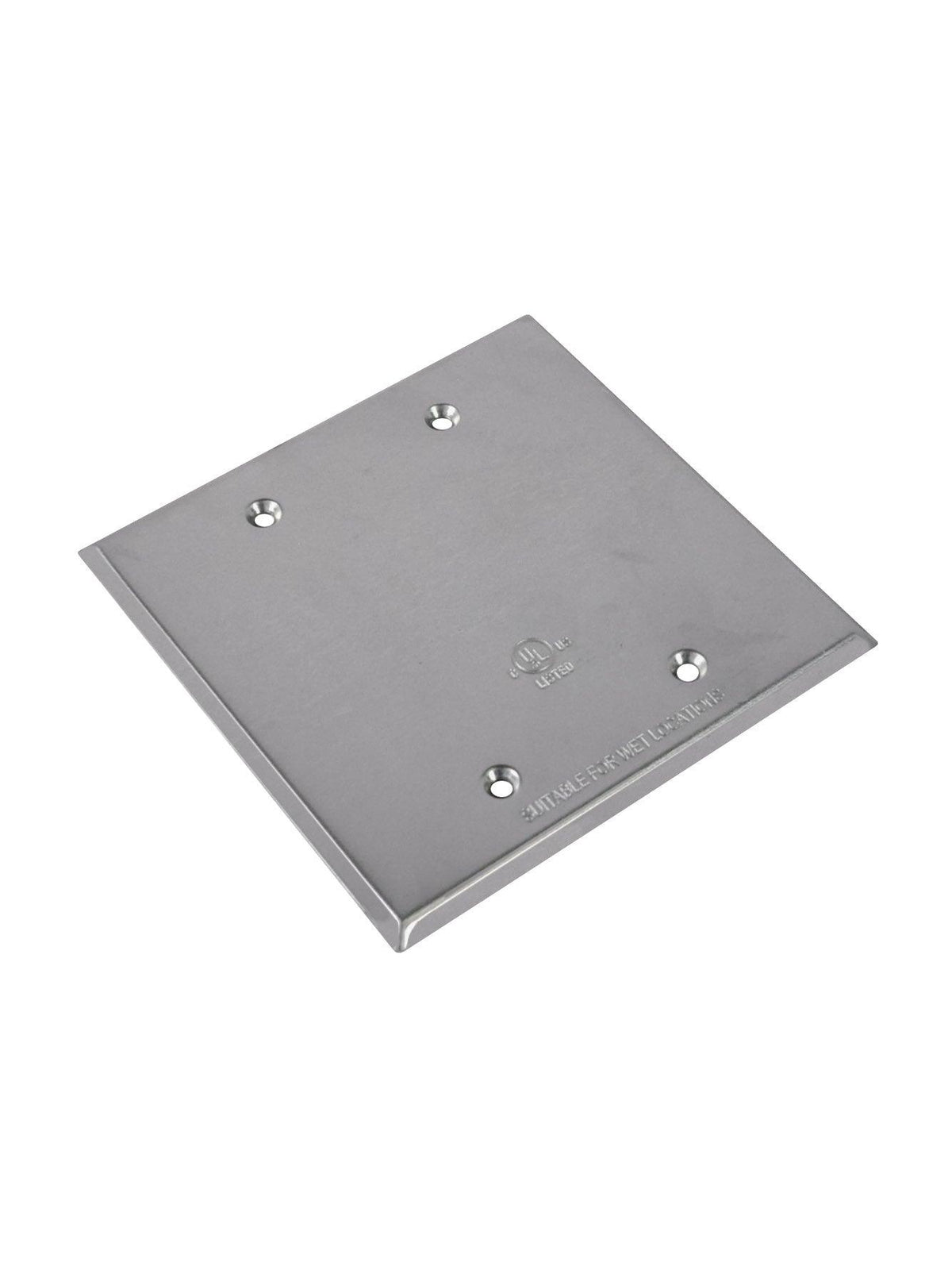 RAB Design Lighting 2 Gang Aluminum Cover with 4 Screw Holes, Model FS ...