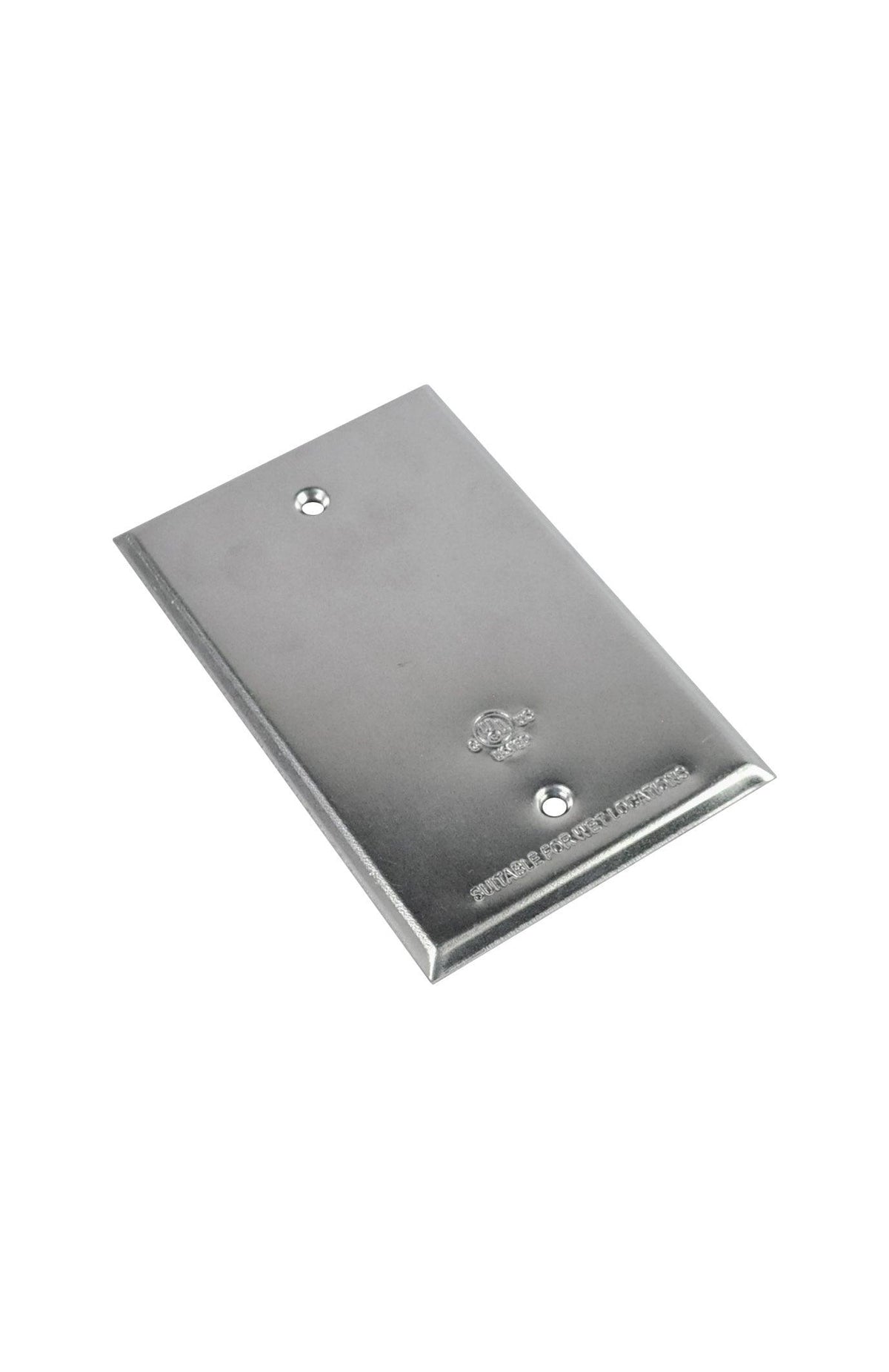 RAB Design Lighting 1 Gang Aluminum Cover with 2 Screw Holes, Model FS ...